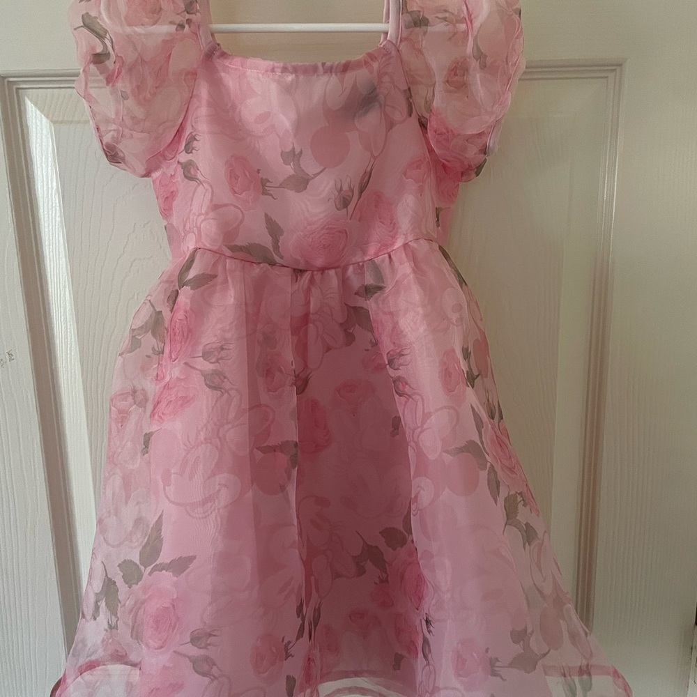 Disney Minnie Mouse Pink Floral Kids Dress